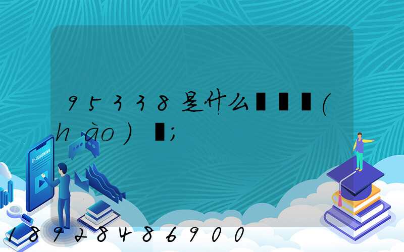95338是什么電話號(hào)碼