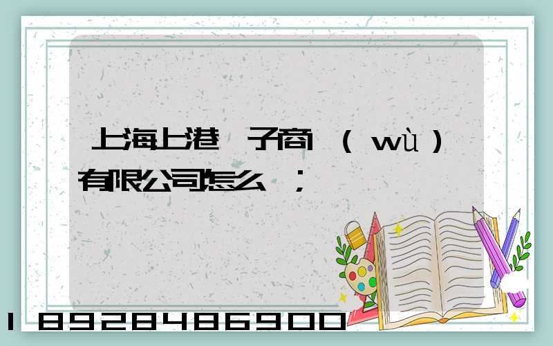 上海上港電子商務(wù)有限公司怎么樣
