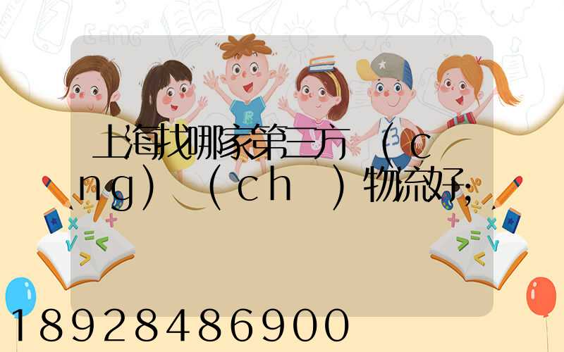 上海找哪家第三方倉(cāng)儲(chǔ)物流好