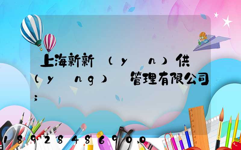 上海新新運(yùn)供應(yīng)鏈管理有限公司