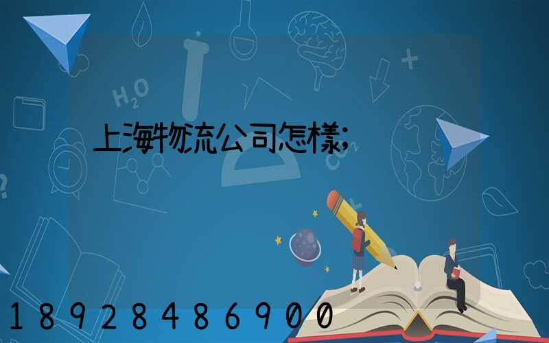上海物流公司怎樣