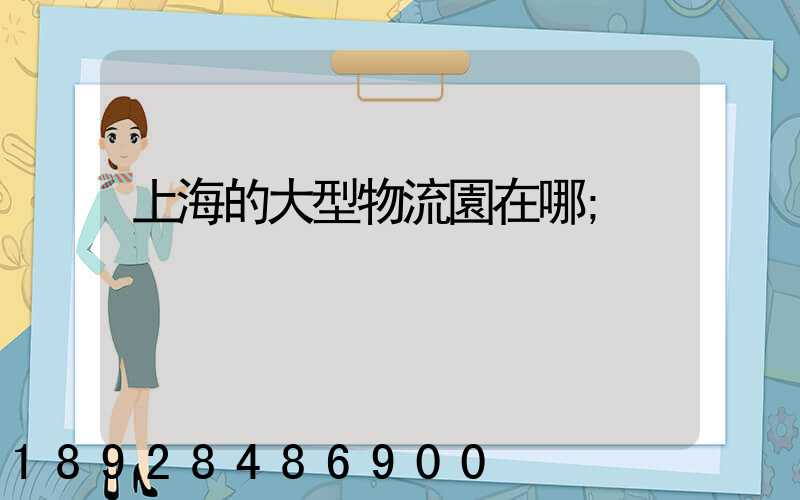 上海的大型物流園在哪