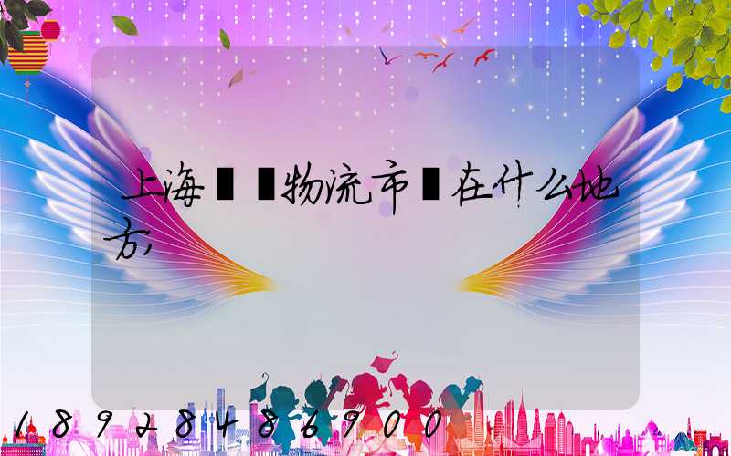 上海貨運物流市場在什么地方