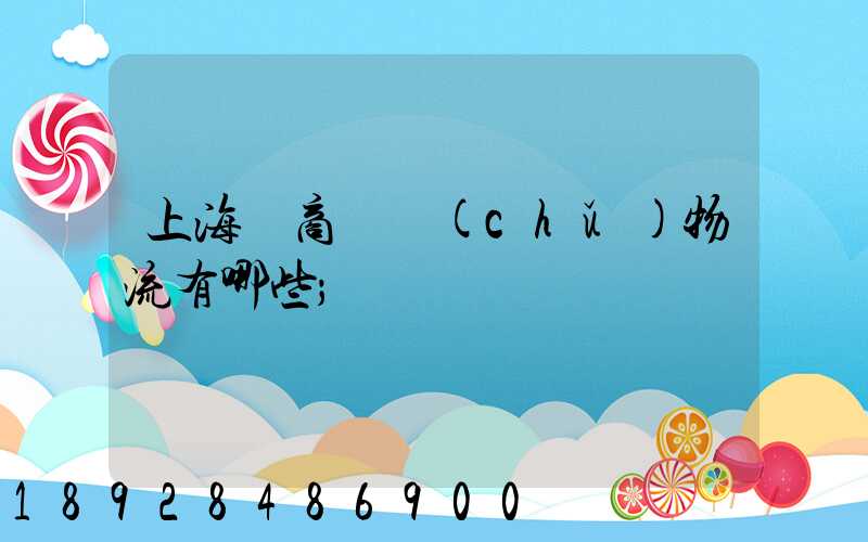 上海電商倉儲(chǔ)物流有哪些