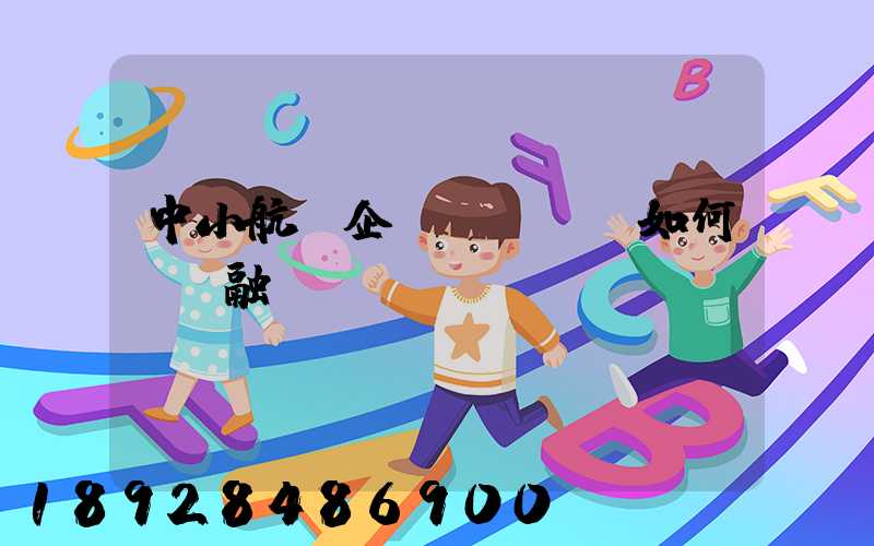中小航運企業(yè)如何應對融資難