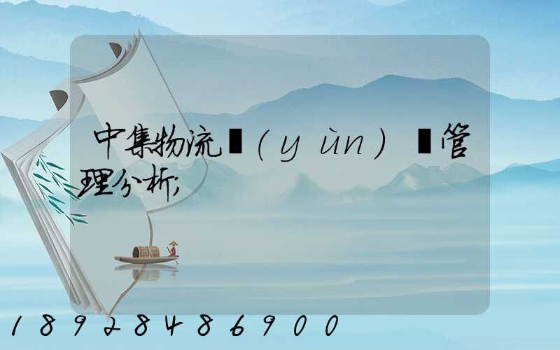 中集物流運(yùn)輸管理分析
