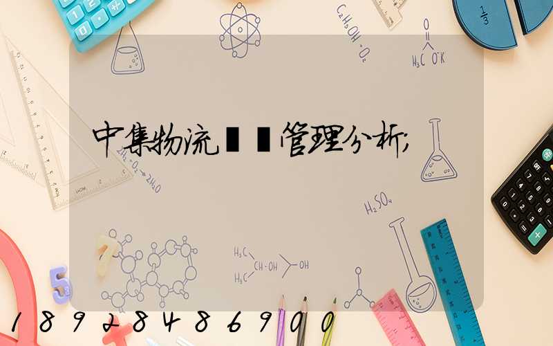 中集物流運輸管理分析