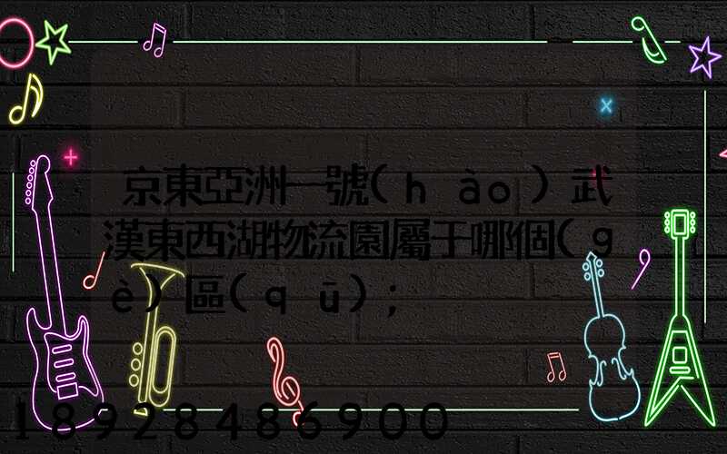 京東亞洲一號(hào)武漢東西湖物流園屬于哪個(gè)區(qū)