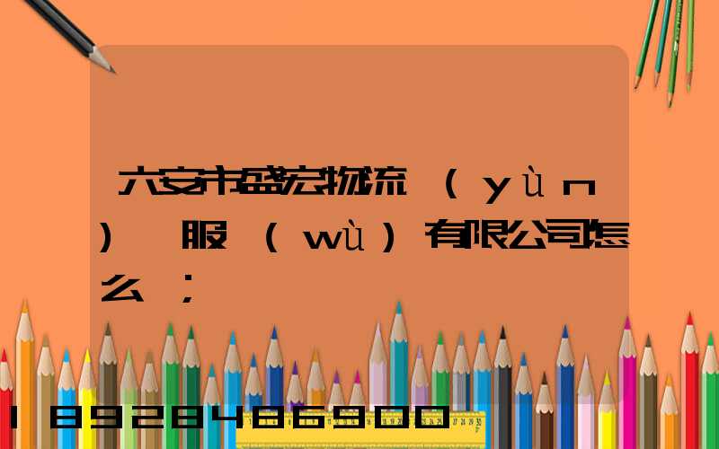 六安市盛宏物流運(yùn)輸服務(wù)有限公司怎么樣