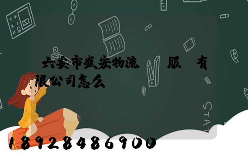 六安市盛宏物流運輸服務有限公司怎么樣