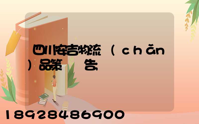 四川安吉物流產(chǎn)品策劃報告