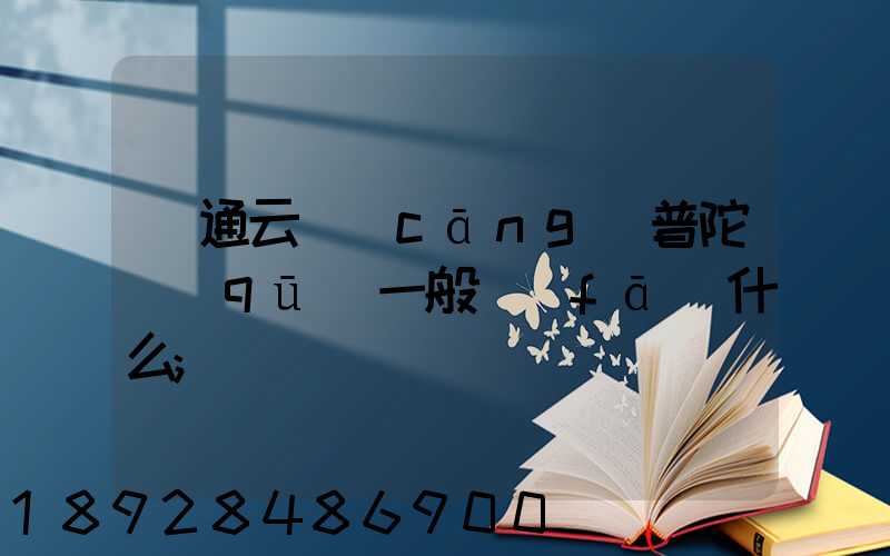 圓通云倉(cāng)普陀區(qū)一般發(fā)什么