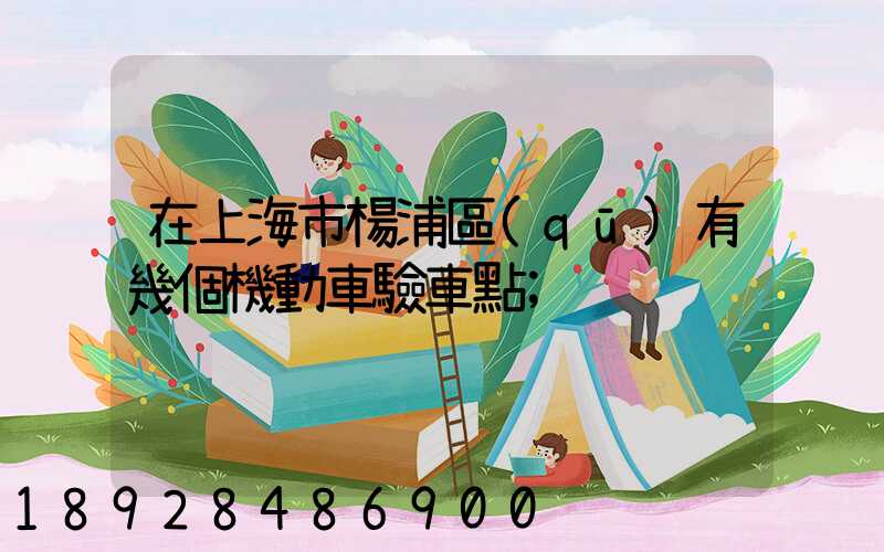 在上海市楊浦區(qū)有幾個機動車驗車點