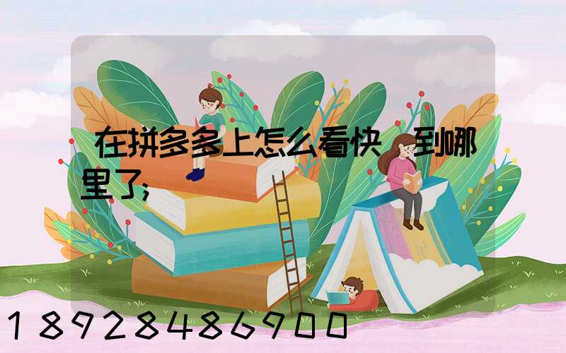 在拼多多上怎么看快遞到哪里了