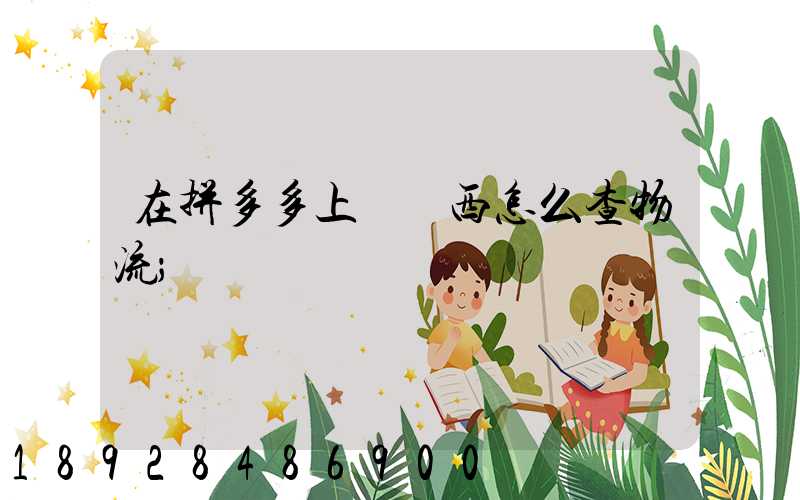 在拼多多上買東西怎么查物流