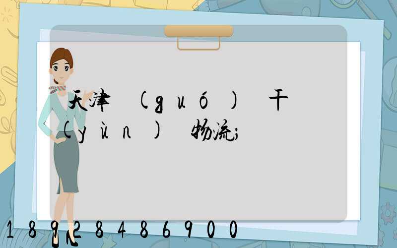 天津國(guó)際干線運(yùn)輸物流