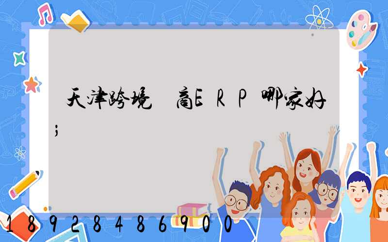 天津跨境電商ERP哪家好