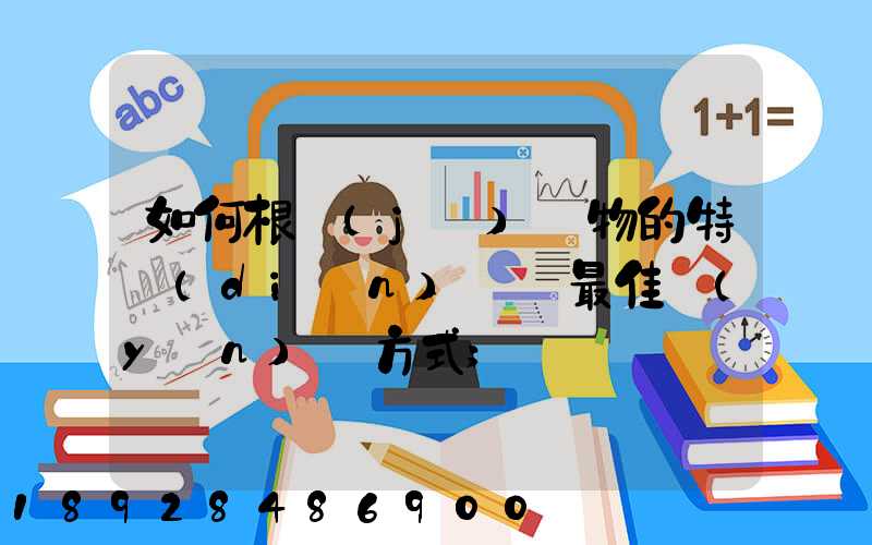如何根據(jù)貨物的特點(diǎn)選擇最佳運(yùn)輸方式