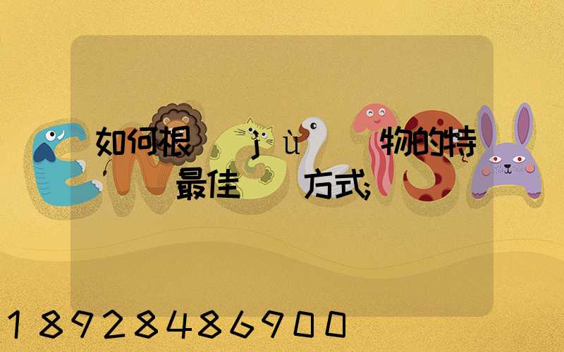如何根據(jù)貨物的特點選擇最佳運輸方式