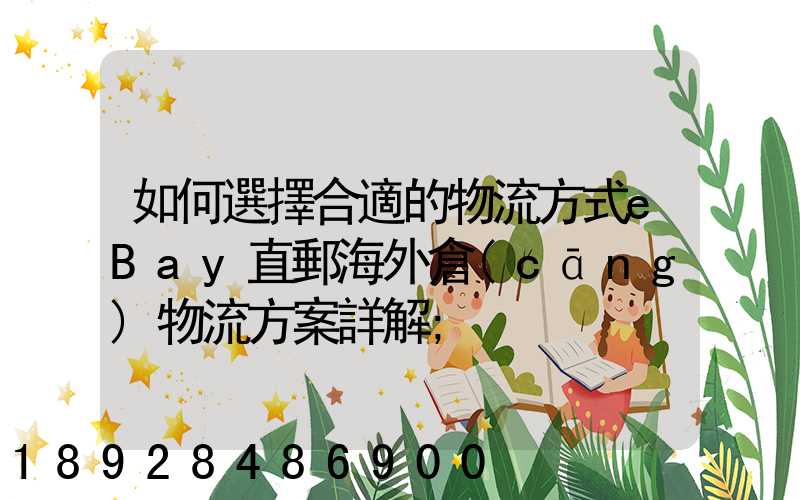 如何選擇合適的物流方式eBay直郵海外倉(cāng)物流方案詳解