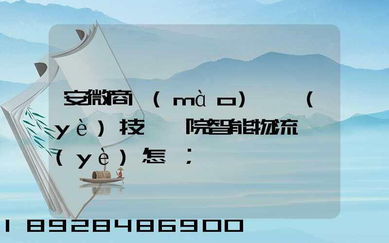 安微商貿(mào)職業(yè)技術學院智能物流專業(yè)怎樣