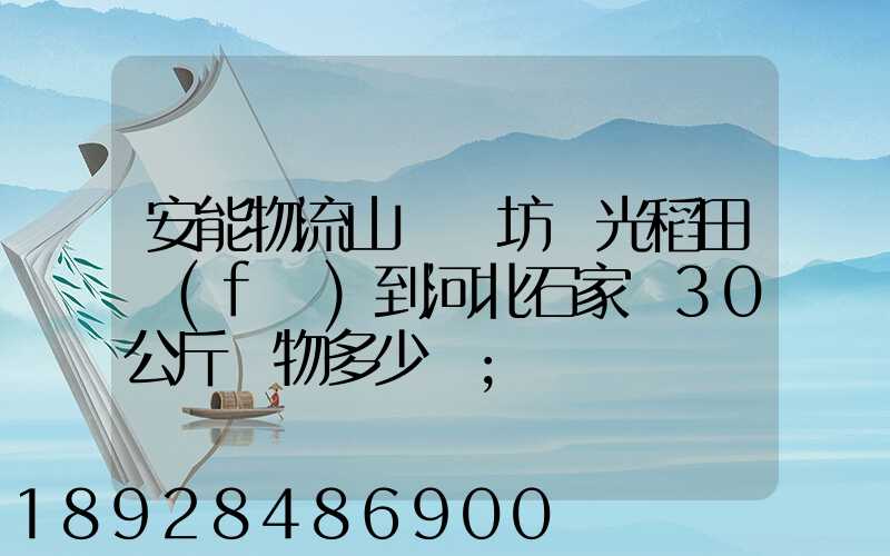安能物流山東濰坊壽光稻田發(fā)到河北石家莊30公斤貨物多少錢
