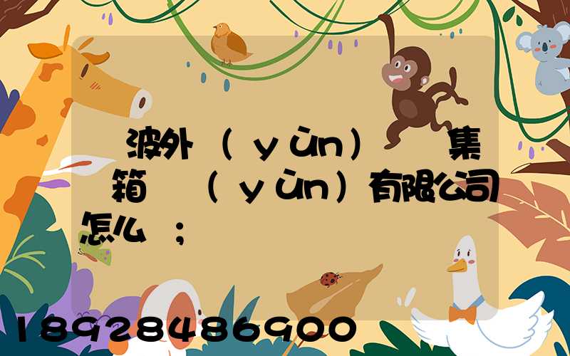 寧波外運(yùn)國際集裝箱貨運(yùn)有限公司怎么樣