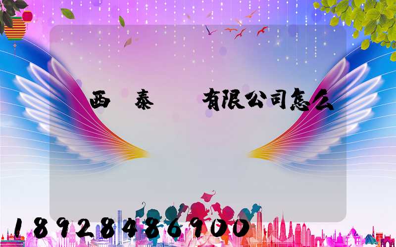 廣西錦泰運輸有限公司怎么樣