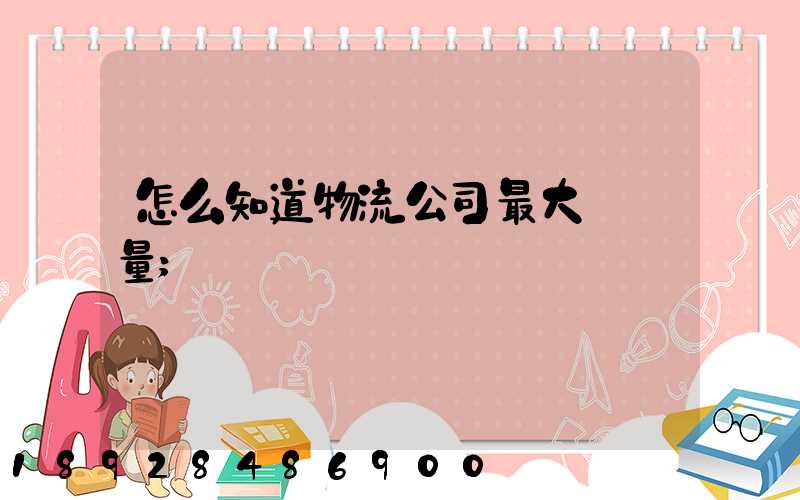 怎么知道物流公司最大貨運量