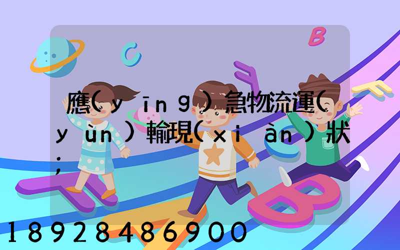 應(yīng)急物流運(yùn)輸現(xiàn)狀