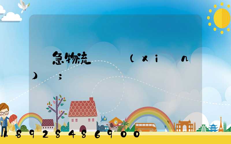 應急物流運輸現(xiàn)狀