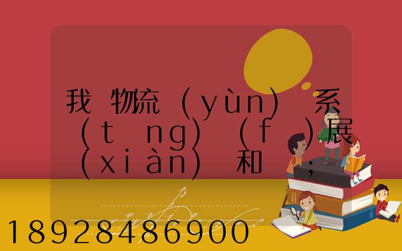 我國物流運(yùn)輸系統(tǒng)發(fā)展現(xiàn)狀和趨勢