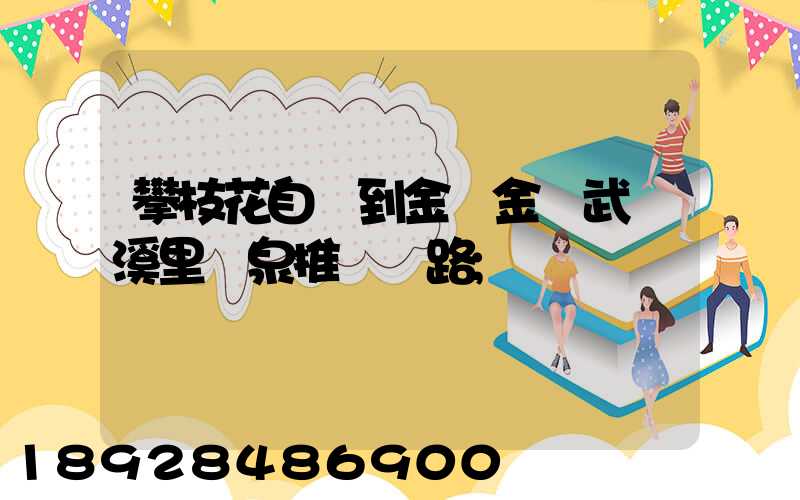 攀枝花自駕到金華金華武義溪里溫泉推薦線路