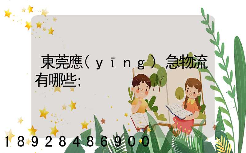 東莞應(yīng)急物流有哪些