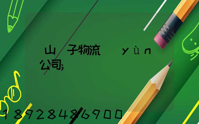 樂山電子物流運(yùn)輸公司