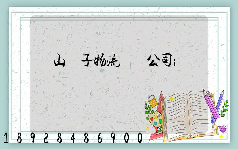 樂山電子物流運輸公司