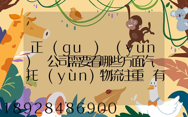 正規(guī)運(yùn)車公司需要看哪些方面汽車托運(yùn)物流注重點有哪些