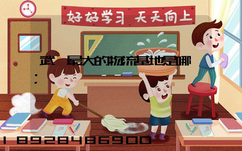 武漢最大的物流基地是哪個