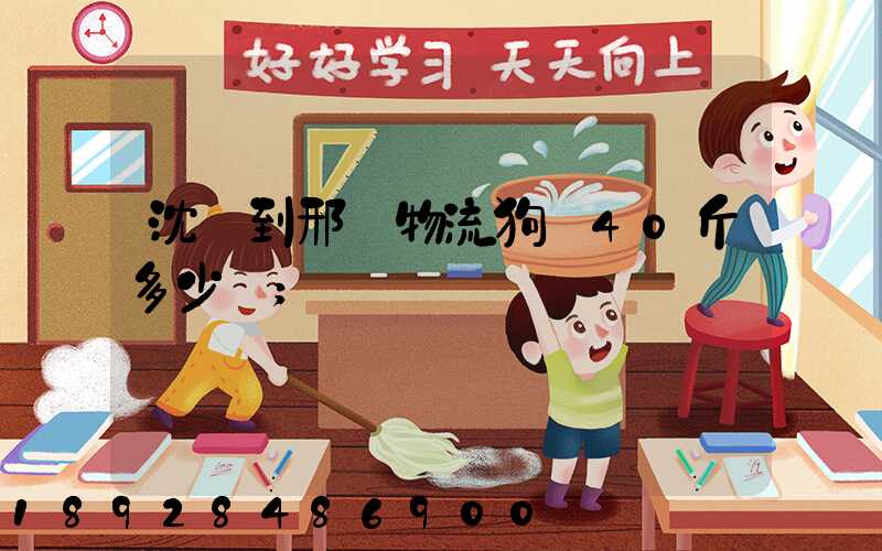 沈陽到邢臺物流狗糧40斤多少錢