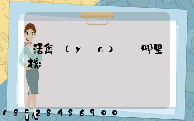 活禽運(yùn)輸車哪里找