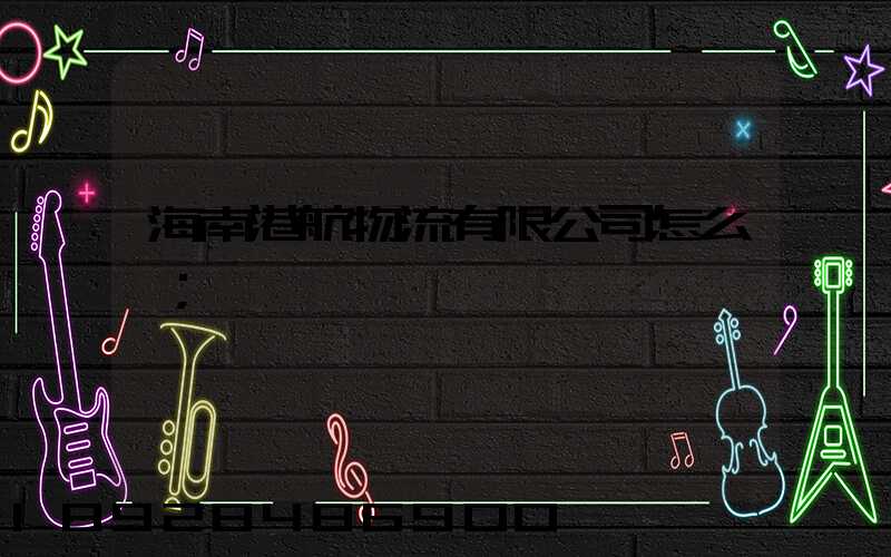 海南港航物流有限公司怎么樣