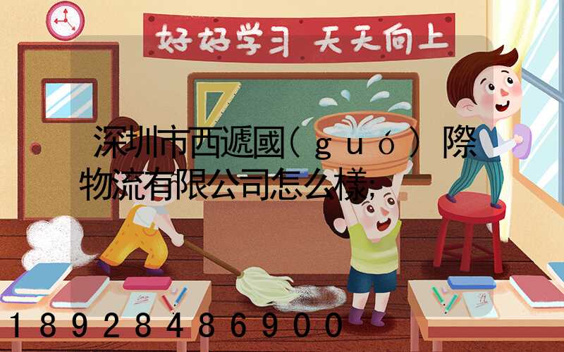 深圳市西遞國(guó)際物流有限公司怎么樣