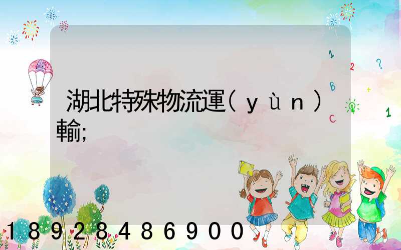 湖北特殊物流運(yùn)輸