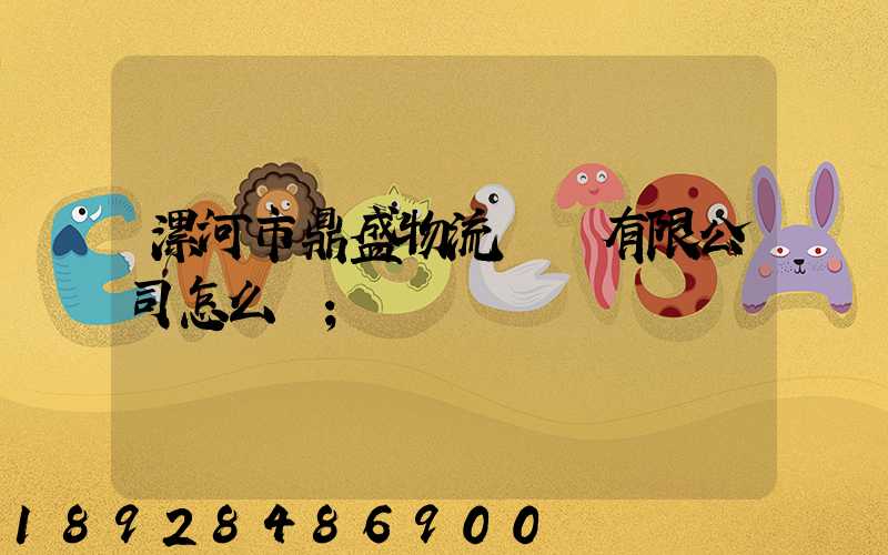 漯河市鼎盛物流運輸有限公司怎么樣