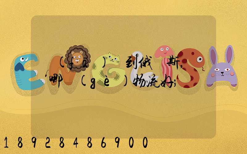 發(fā)貨到俄羅斯,選擇哪個(gè)物流好