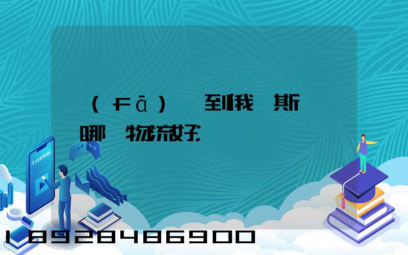 發(fā)貨到俄羅斯,選擇哪個物流好