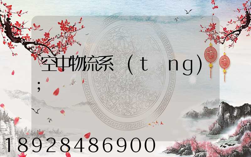 空中物流系統(tǒng)