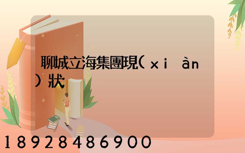 聊城立海集團現(xiàn)狀