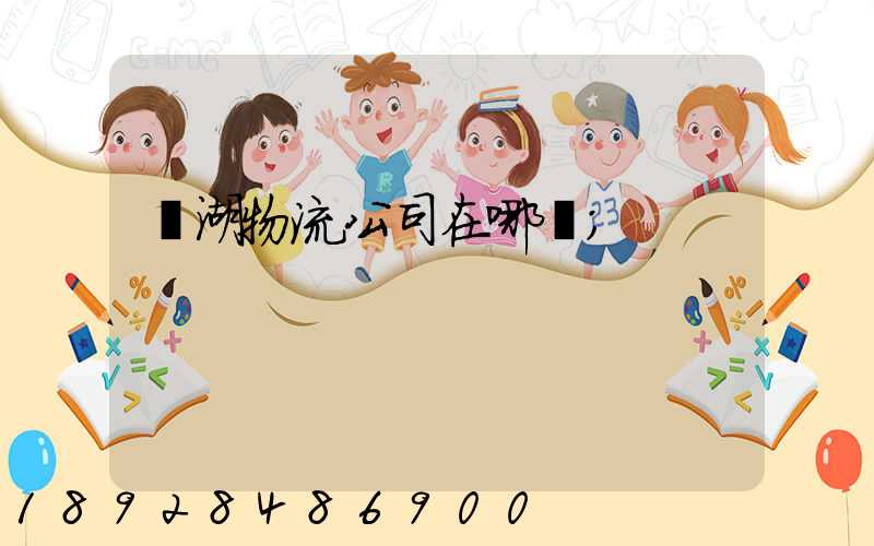 蕪湖物流公司在哪兒