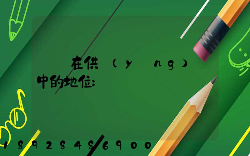 蘇寧在供應(yīng)鏈中的地位